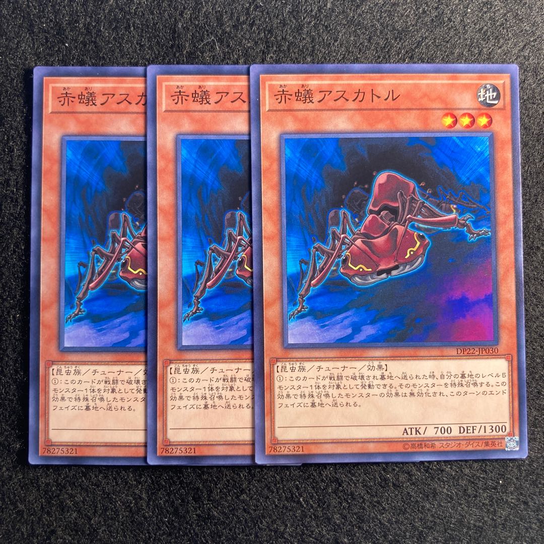 赤蟻アスカトル#502