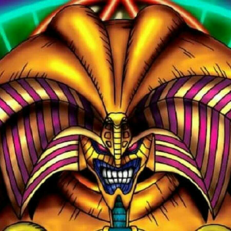 スピノナ様専用 1枚