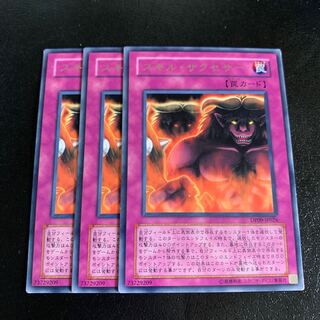 スキル・サクセサー レア