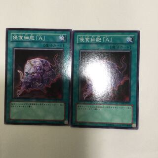 侵食細胞「A」　２枚