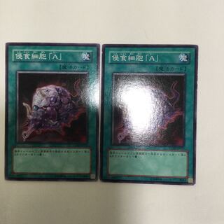 侵食細胞「A」　２枚