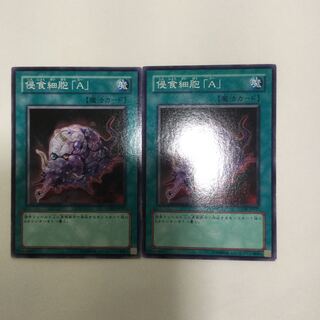 侵食細胞「A」　２枚