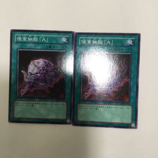 侵食細胞「A」　２枚