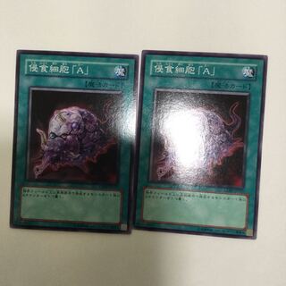 侵食細胞「A」　２枚