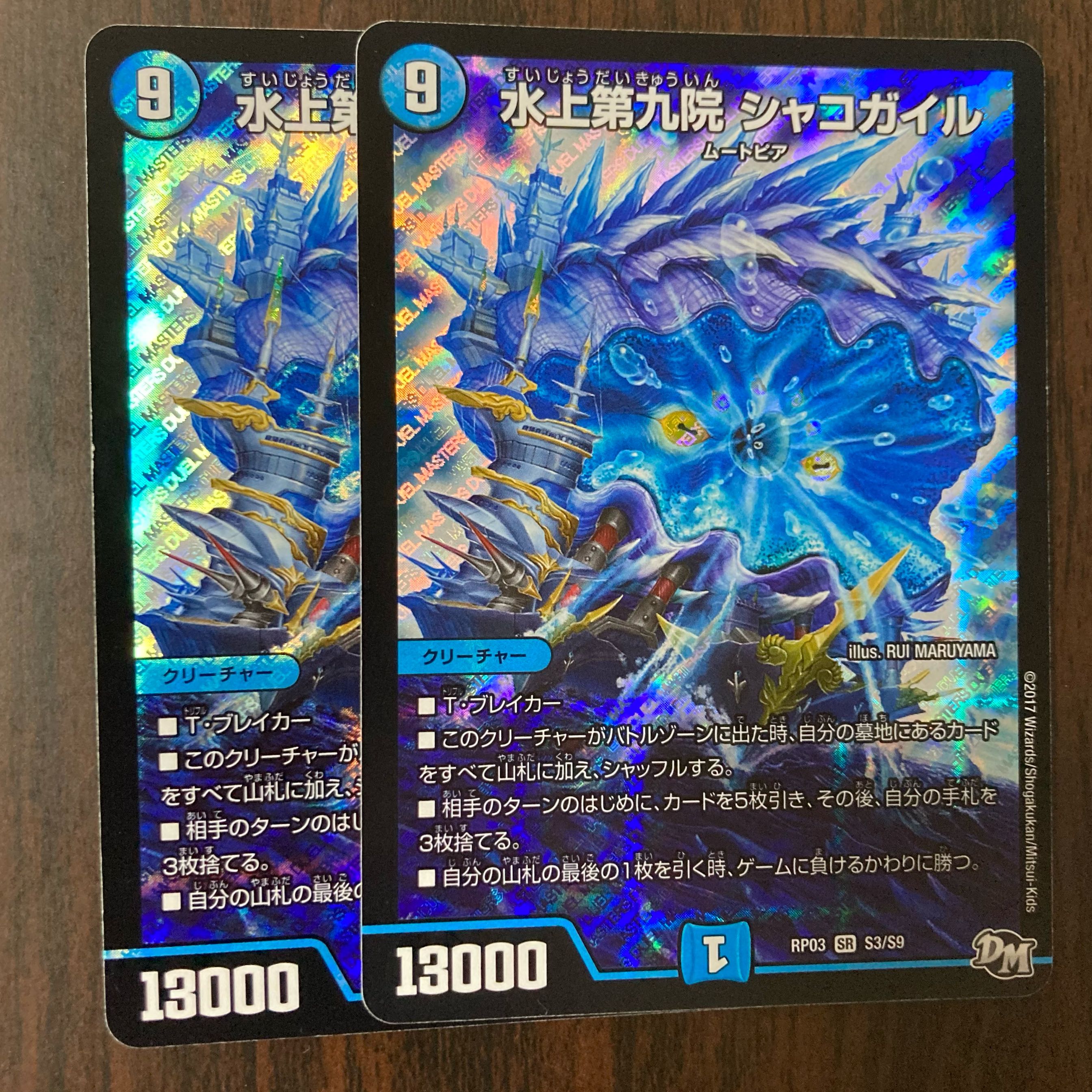 水上第九院 シャコガイル