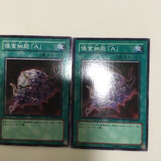 侵食細胞「A」　２枚