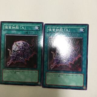 侵食細胞「A」　２枚