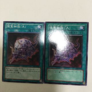 侵食細胞「A」　２枚