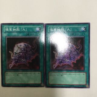 侵食細胞「A」　２枚