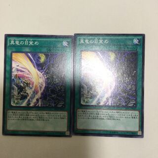 真竜の目覚め　２枚
