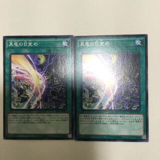真竜の目覚め　２枚