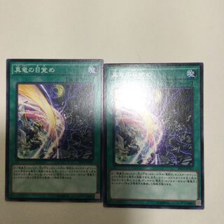 真竜の目覚め　２枚