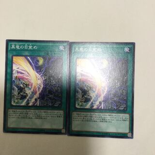 真竜の目覚め　２枚