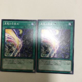 真竜の目覚め　２枚