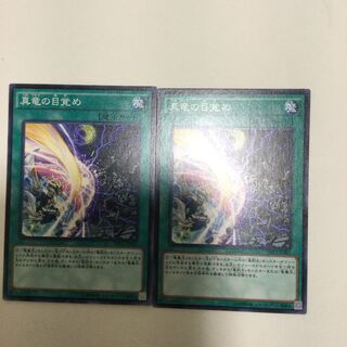 真竜の目覚め　２枚