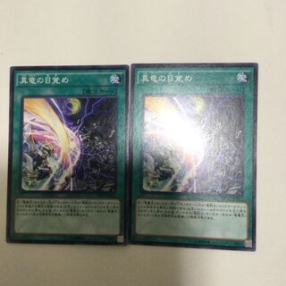 真竜の目覚め　２枚