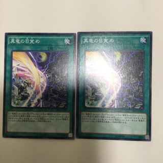 真竜の目覚め　２枚