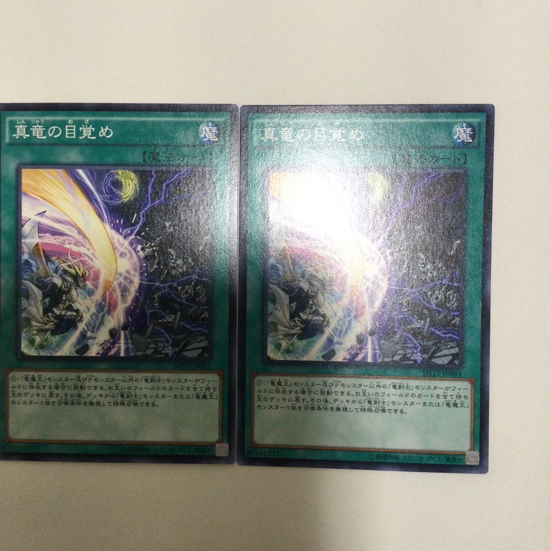 真竜の目覚め　２枚