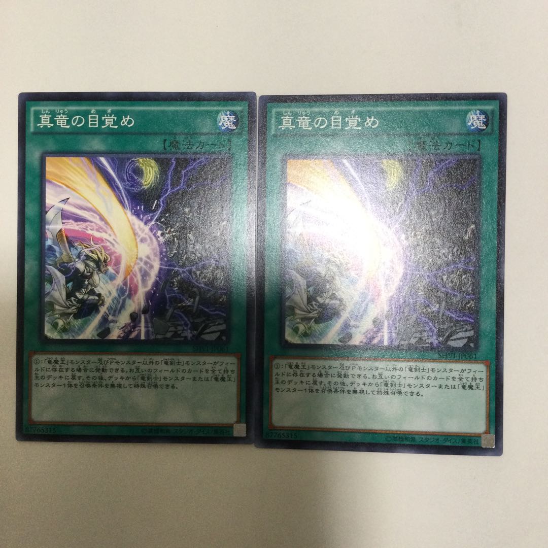 真竜の目覚め 2枚