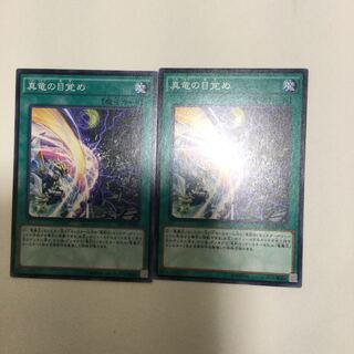 真竜の目覚め　２枚
