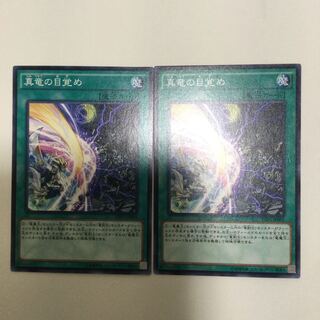 真竜の目覚め　２枚