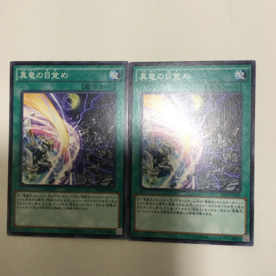 真竜の目覚め 2枚