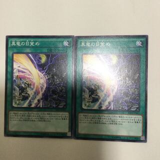 真竜の目覚め　２枚