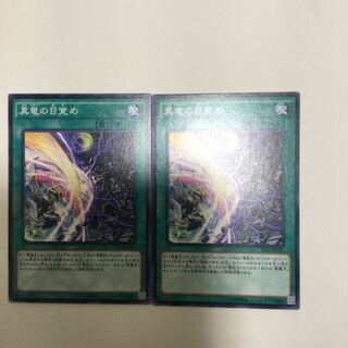 真竜の目覚め　２枚