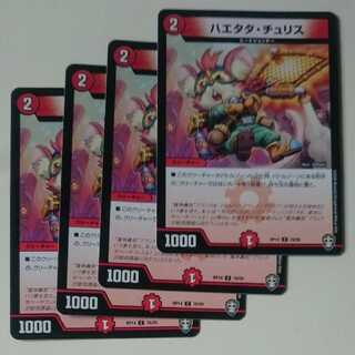 ハエタタ・チュリス