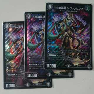 不死の墓守 シヴァンリンネ