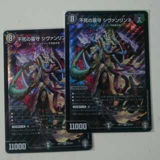 不死の墓守 シヴァンリンネ