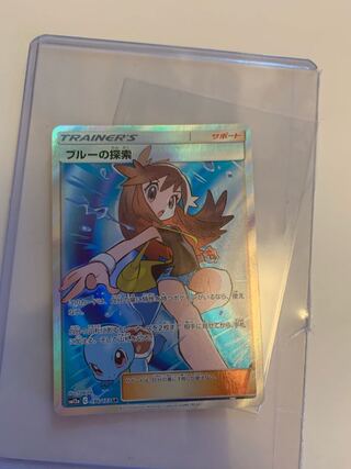 ブルーの探索 たまさん専用