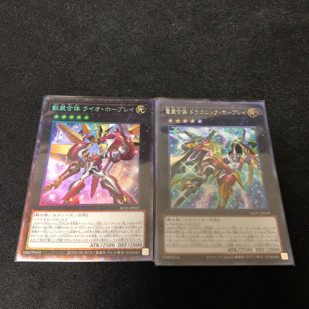 獣装合体 ライオ・ホープレイ