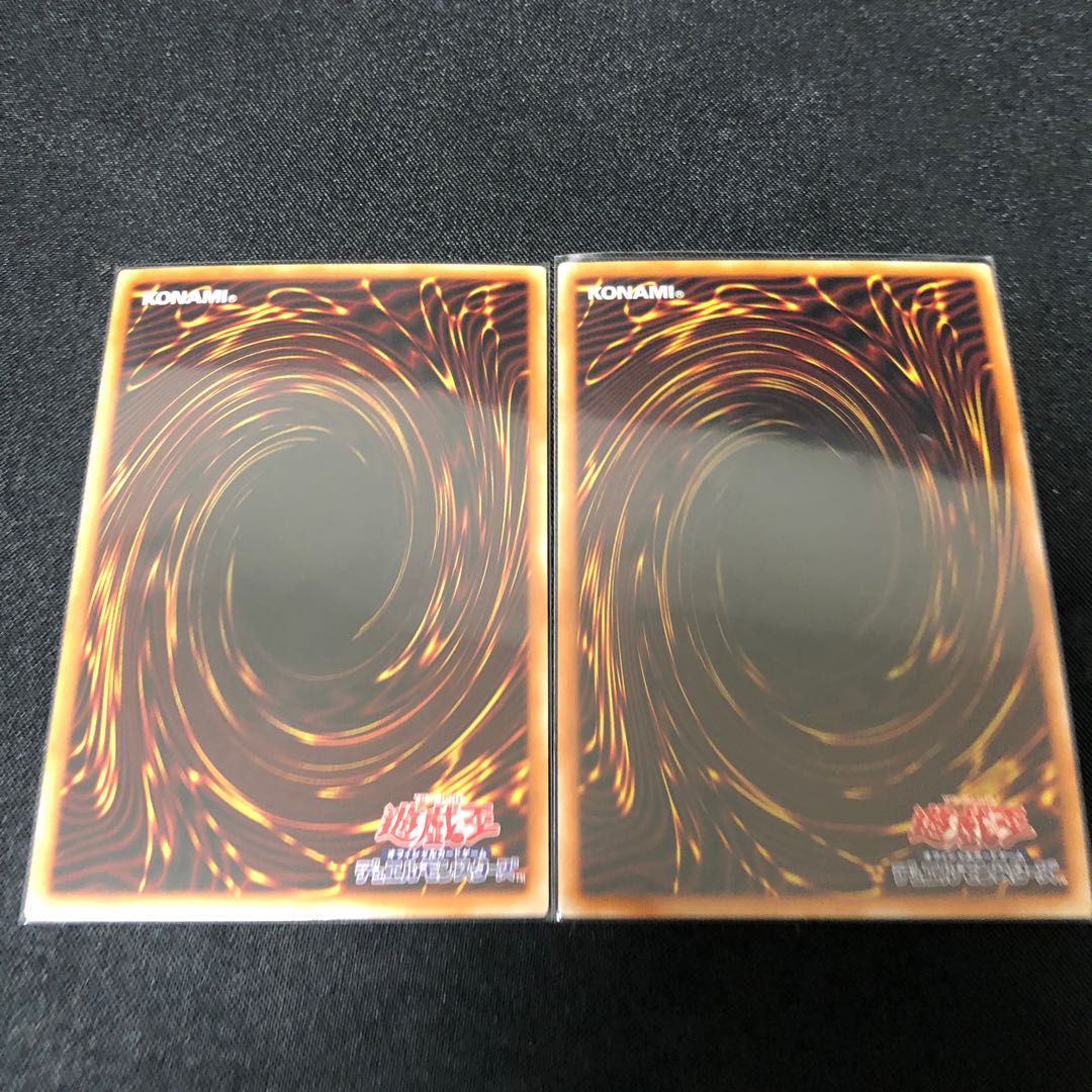 獣装合体 ライオ・ホープレイ