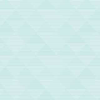 トレード専用 1枚