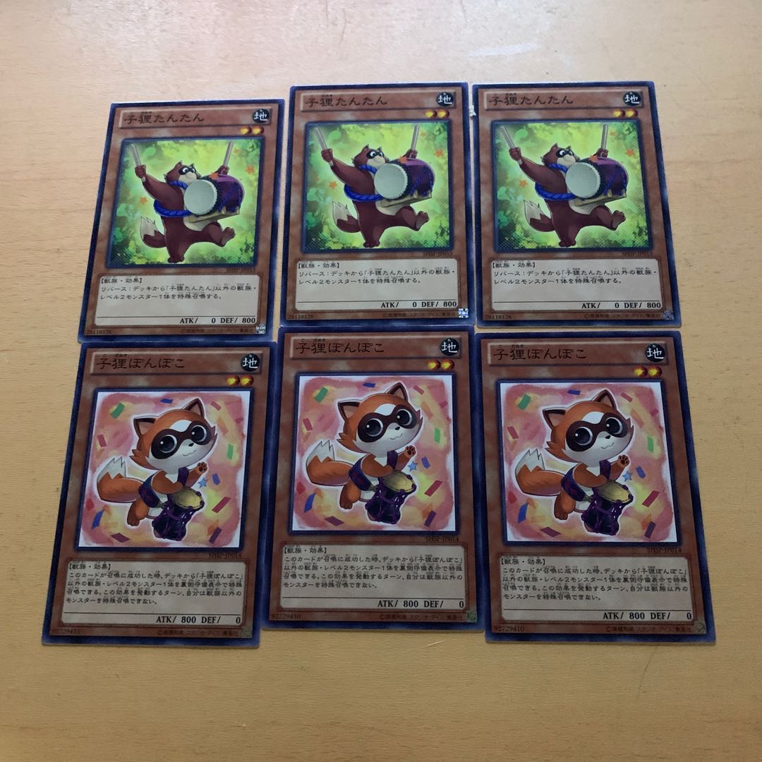 Baby Raccoon Tantan Baby Raccoon Ponpoko set