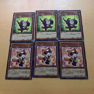 Baby Raccoon Tantan Baby Raccoon Ponpoko set