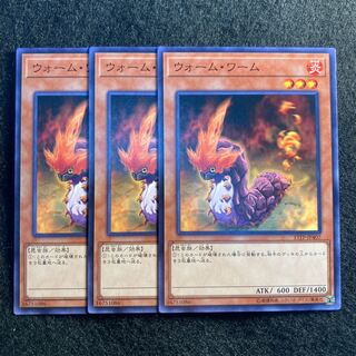 ウォーム・ワーム#509