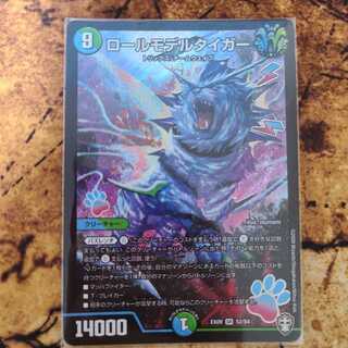 ロールモデルタイガー