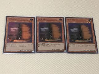 増殖するG スーパーレア 中国語　三枚セット