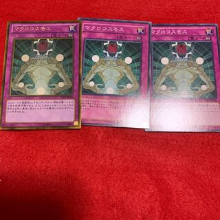 マクロコスモス