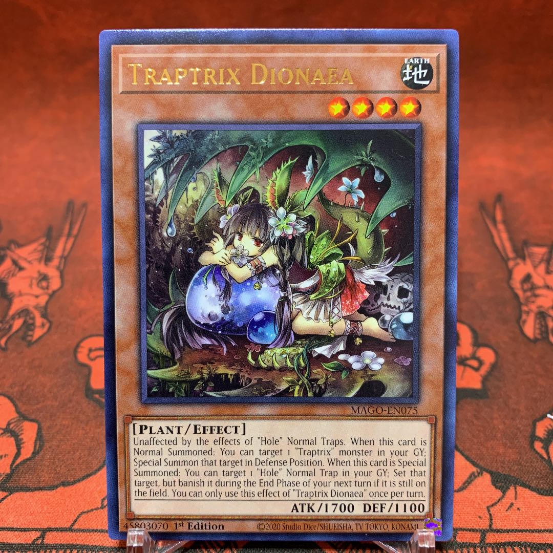 遊戯王【英語版】ティオの蟲惑魔 ゴールドレターレア