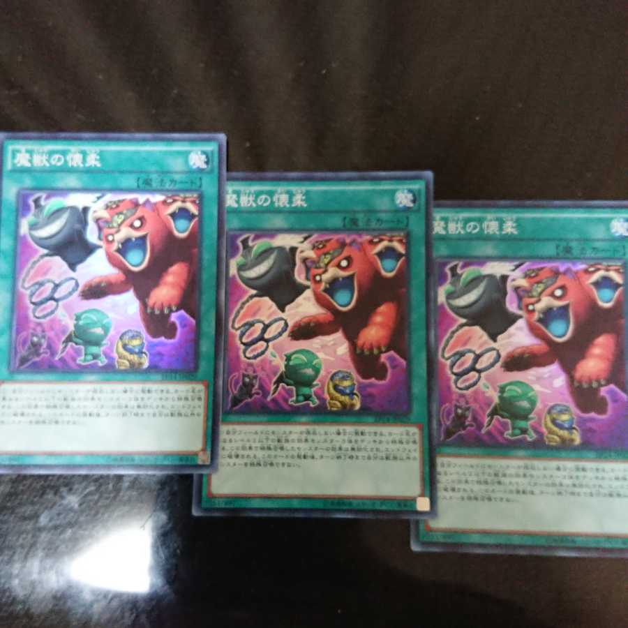 魔獣の懐柔 スーパーレア 3枚セット