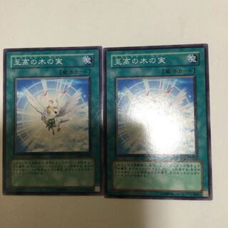 至高の木の実　２枚