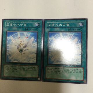 至高の木の実　２枚