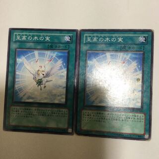 至高の木の実　２枚