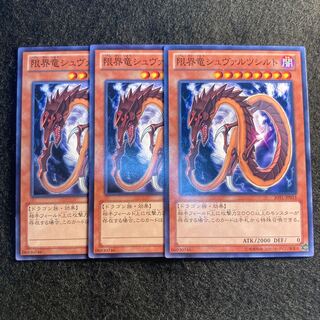 限界竜シュヴァルツシルト#521