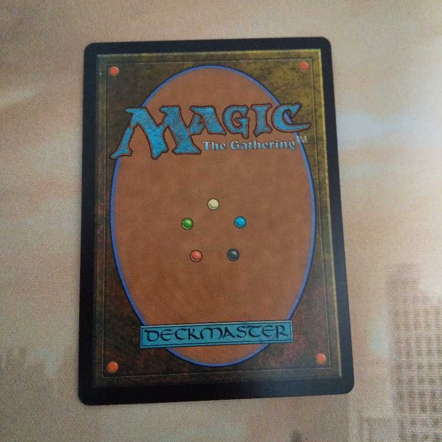 敏捷なこそ泥、ラガバン 706