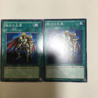 戦士の生還　２枚