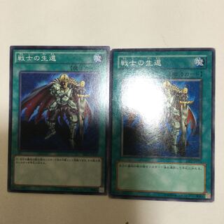 戦士の生還　２枚